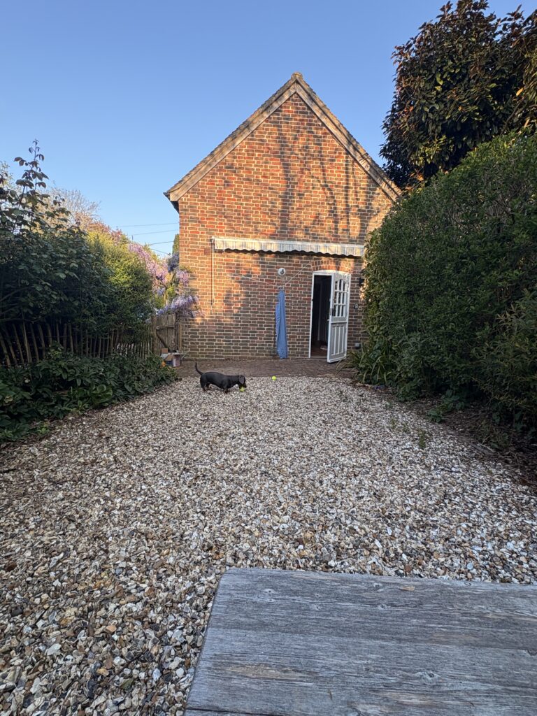 Solo Dog Trip img 8308 768x1024