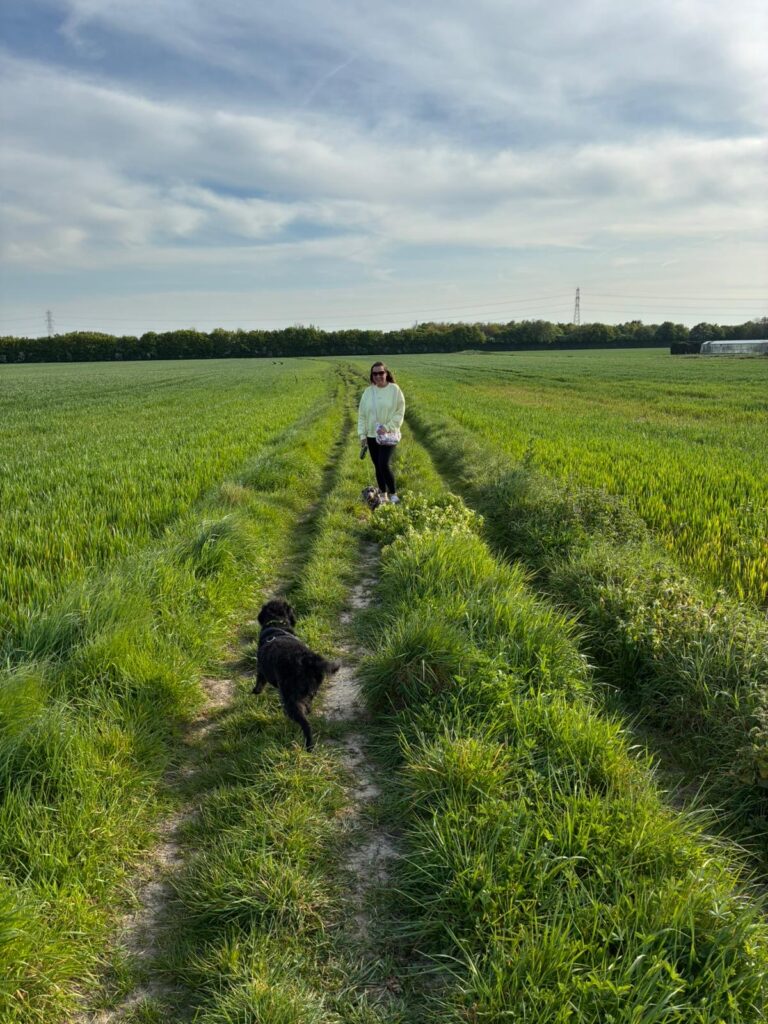 Solo Dog Trip c5d8a8e4 7bc2 43a2 b667 7c8ddbc0d33a 768x1024