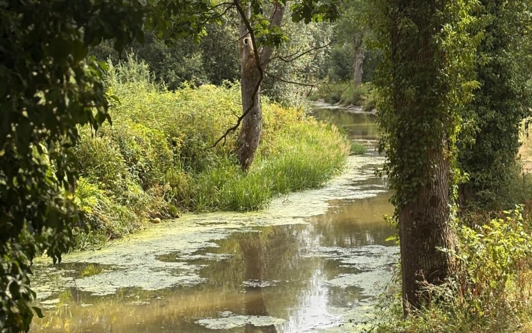 A trip to Winkworth